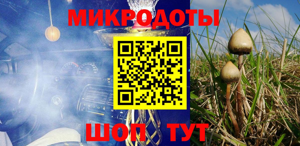 Татарск  Псилоцибиновые грибы мухоморы  Вход с VPN  Галлюциногенные грибы мухоморы 